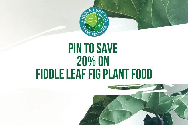 Pin Our Webinar to Save 20% on Fiddle Leaf Fig Plant Food Coupon Code 4 Looking for a fiddle leaf fig plant food coupon code? Share our webinar now and get your coupon code to save 20% on Fiddle Leaf Fig Plant Food.Â