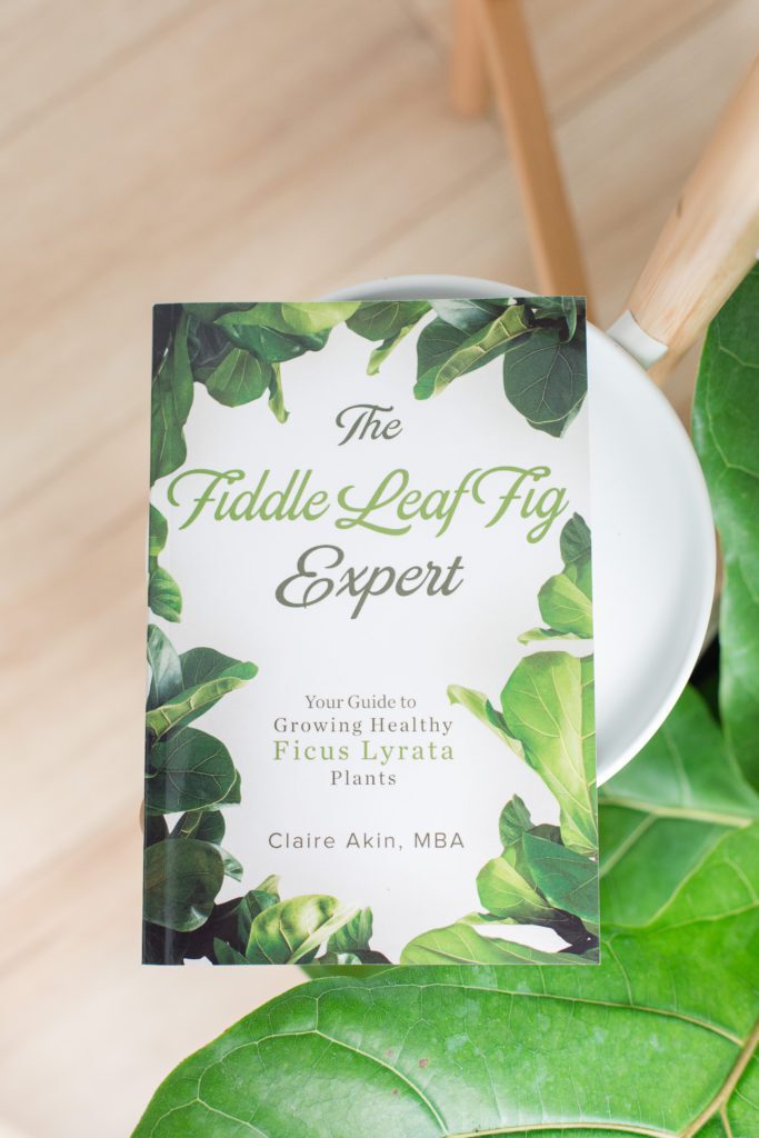 Fiddle Leaf Fig Plant Resource Book