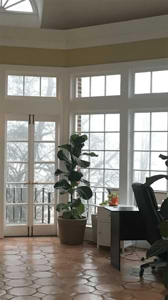 Stop Fiddling! 5 Times When You Should Leave Your Fiddle Leaf Fig Alone 7 Learn about the 5 times when you should leave your fiddle leaf fig alone. Leave your fiddle leaf fig be to grow into a healthy plant.