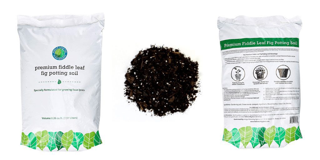 Announcing Our New Premium Fiddle Leaf Fig Potting Soil! (Video) 11 Fiddle Leaf Fig Potting Soil