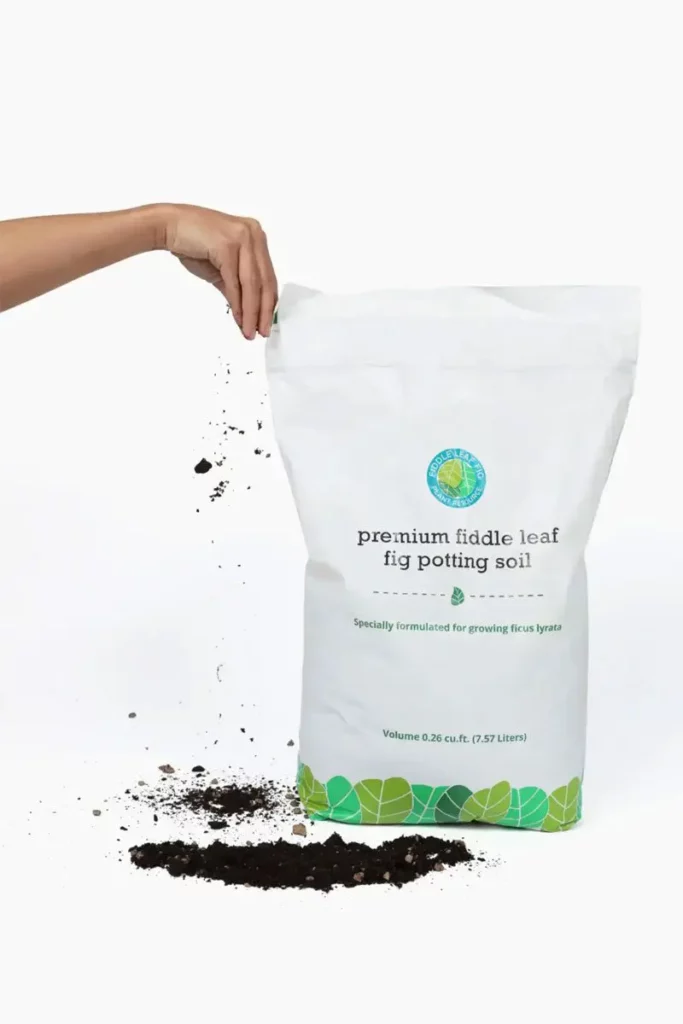 6 Easy Steps To Fiddle Leaf Fig Propagation 6 Premium Fiddle Leaf Fig Potting Soil for growing Ficus Lyrata at fiddleleaffigplant.com-Fiddle Leaf Fig Plant Resource