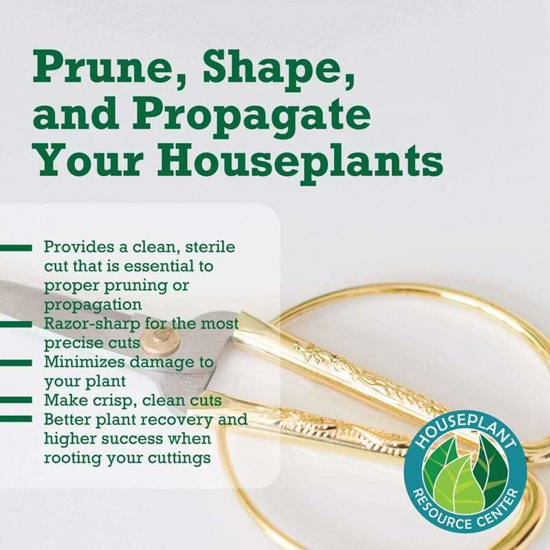 Pruning Shears