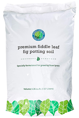 Fig Potting Soil