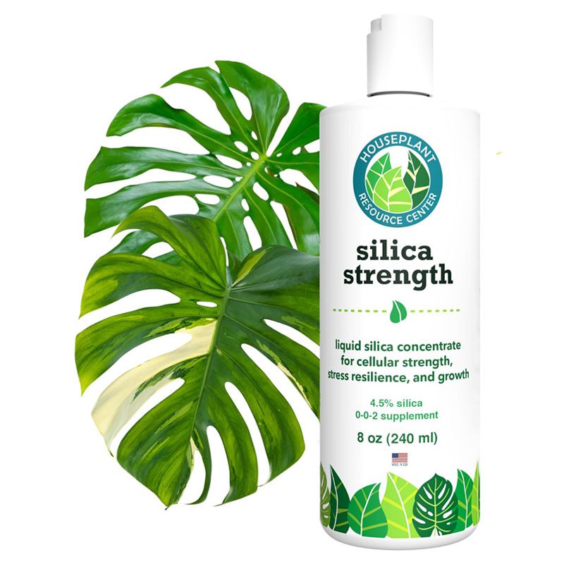 Silica Strength