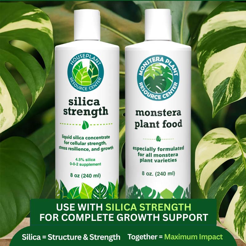 Silica Strength