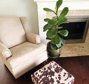 Healthy FLF