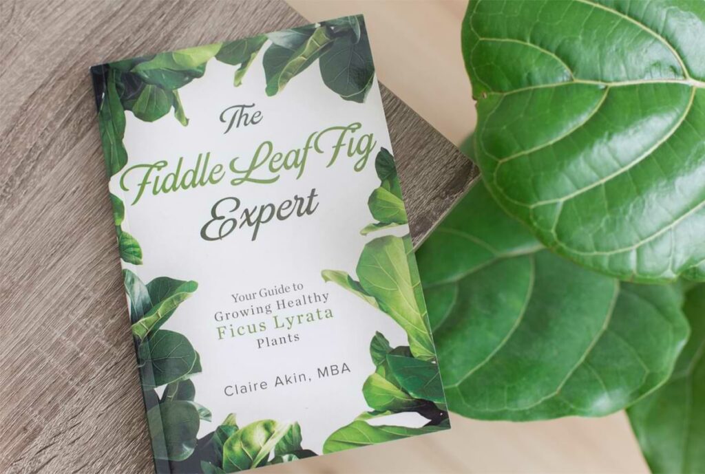 The Fiddle Leaf Fig Expert Book
