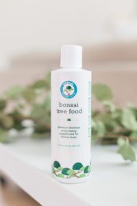 How to Care For Your Ficus Bonsai 7 Bonsai Tree Food