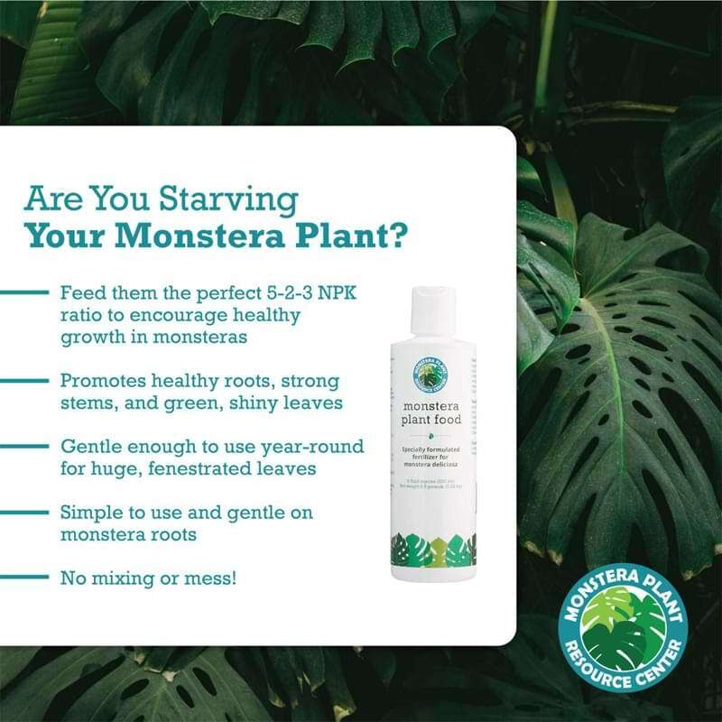 Monstera Plant Food