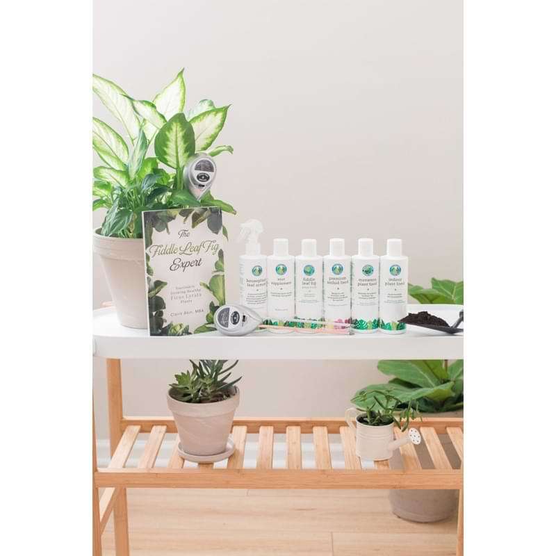 Premium Fiddle Leaf Fig Potting Soil