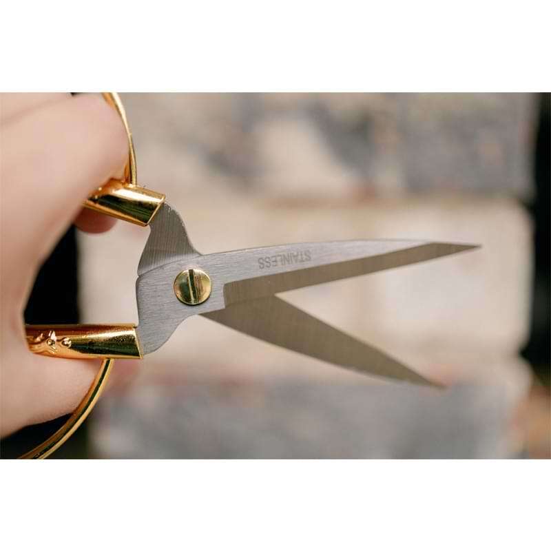 Pruning Shears