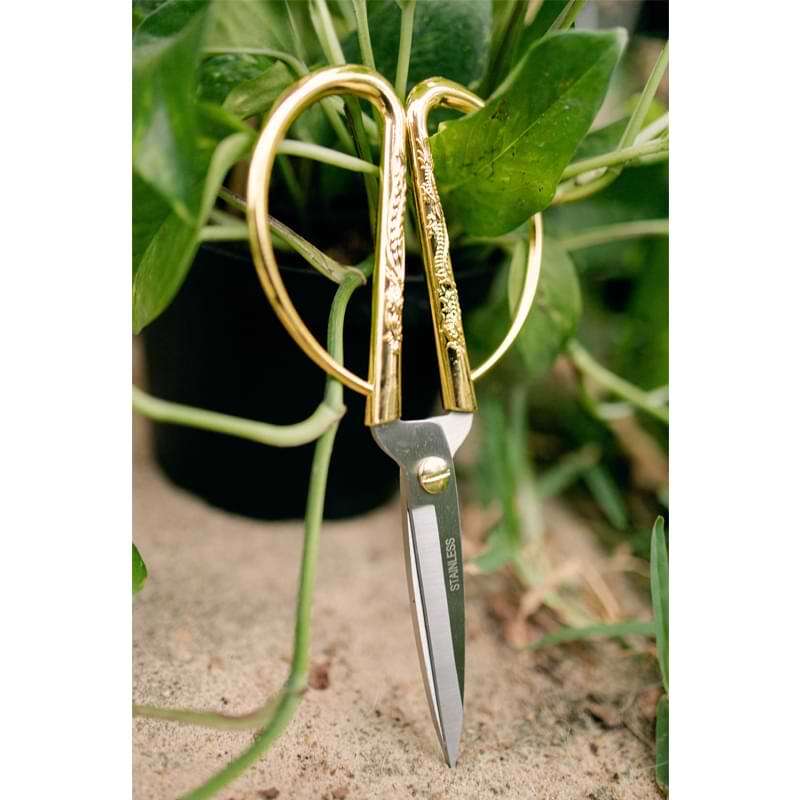Pruning Shears