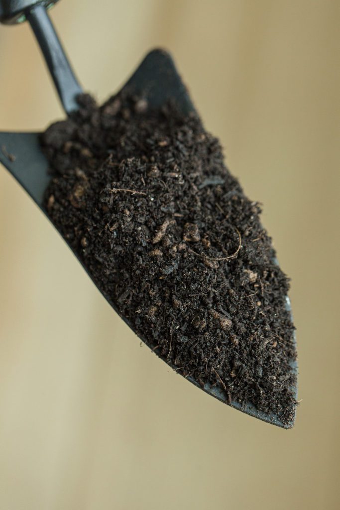In this article, we’ll explain the factors that contribute to a soil’s fertility, and how to improve soil fertility for the health of your fiddle!