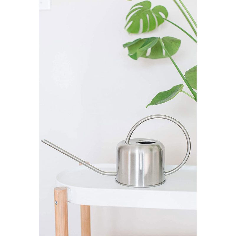 How and When to Water A Fiddle Leaf Fig: A Routine for Your Unique Plant 5 watering can silver