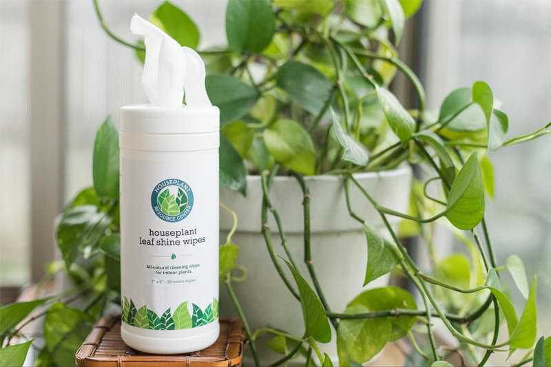 leaf shine wipes