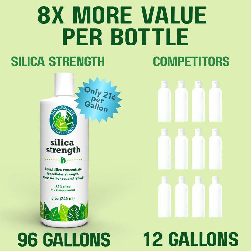 Silica Strength